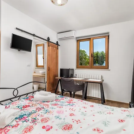 Rona Apartment & Rooms Mea Vista Buzet Exterior foto